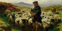 Win £10 from a Scotsman