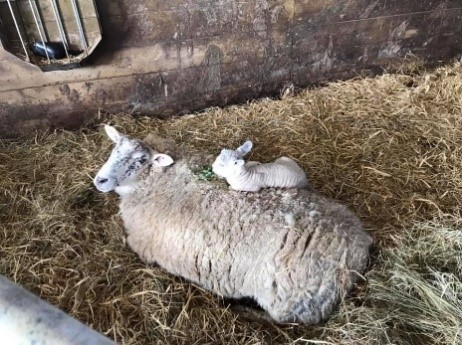 Say “Hello” to our new arrivals