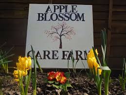 apple blossom farm