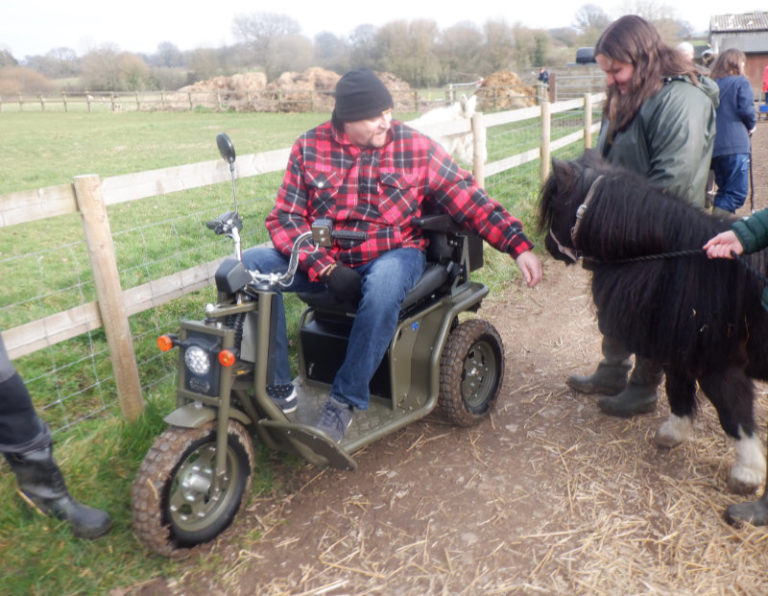 meet the pony