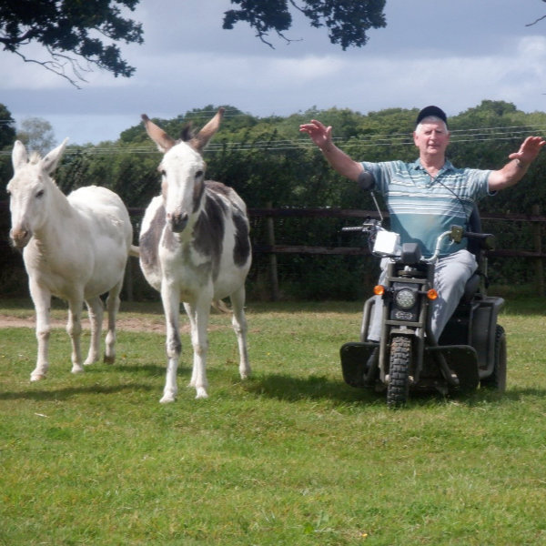 countrymen and donkey